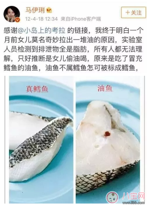 寶寶輔食鱈魚怎么買 鱈魚怎么鑒別真假