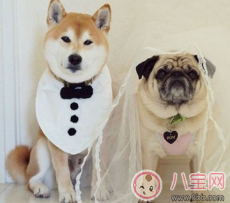 孩子不聽話無奈心情說說 孩子不聽話家長心情說說