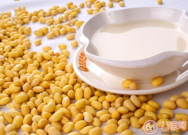 小孩可以天天喝豆?jié){嗎 1歲內(nèi)寶寶能不能喝豆?jié){