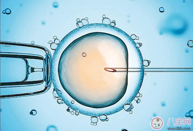 導致試管嬰兒失敗的原因是什么 2018試管嬰兒的成功率有多高