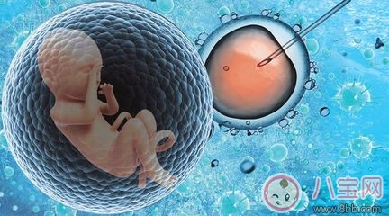 導致試管嬰兒失敗的原因是什么 2018試管嬰兒的成功率有多高