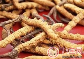 蟲草一天吃一根有效嗎 蟲草是早上吃還是晚上吃好