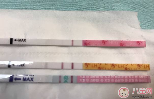 排卵試紙強(qiáng)陽會懷孕嗎 排卵試紙強(qiáng)陽多久同房 排卵試紙強(qiáng)陽會懷孕嗎 排卵試紙強(qiáng)陽多久同房