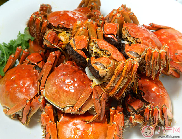 懷孕初期能吃水煮魚嗎 孕早期真的不能吃的食物