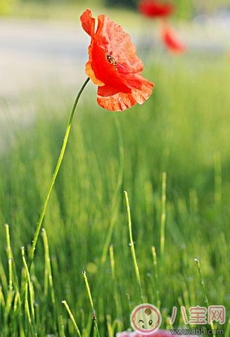 孩子生病怎樣安慰媽媽 孩子生病媽媽心情說說圖片