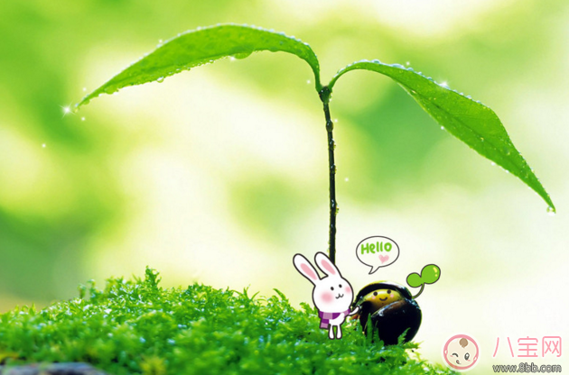 孩子生病怎樣安慰媽媽 孩子生病媽媽心情說說圖片