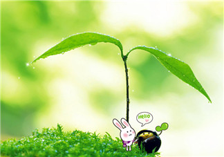 孩子生病怎樣安慰媽媽 孩子生病媽媽心情說說圖片