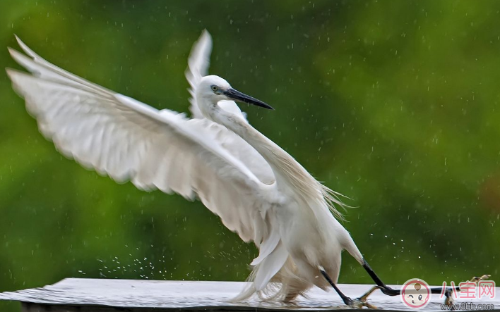有關路滑的說說朋友圈 下雪天路好滑句子心情感概