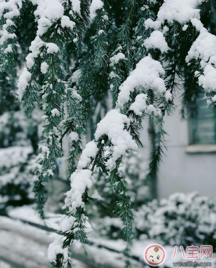 幼兒園雪天路滑溫馨提示語大全2018 下雪路滑溫馨提示短信句子 幼兒園雪天路滑溫馨提示語大全2018 下雪路滑溫馨提示短信句子