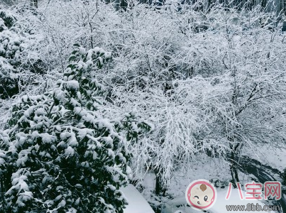 幼兒園雪天路滑溫馨提示語大全2018 下雪路滑溫馨提示短信句子 幼兒園雪天路滑溫馨提示語大全2018 下雪路滑溫馨提示短信句子