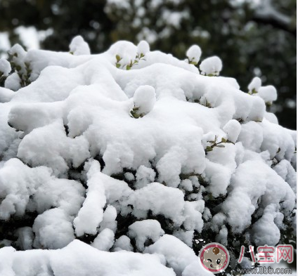 幼兒園雪天路滑溫馨提示語大全2018 下雪路滑溫馨提示短信句子 幼兒園雪天路滑溫馨提示語大全2018 下雪路滑溫馨提示短信句子