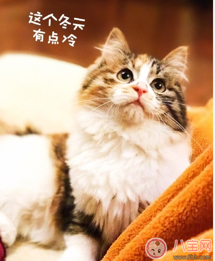 下雪路滑出行小心注意安全說說 下雪了小心路滑圖片 下雪路滑出行小心注意安全說說 下雪了小心路滑圖片