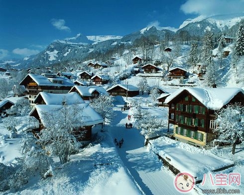 下雪是一種什么樣的體驗2018 下雪是不是應該發條好看的說說朋友圈