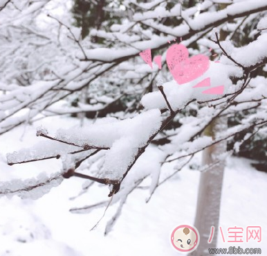下雪火車動車停運怎么發朋友圈 下雪不能回家的心情句子說說