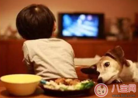 孩子多大可以看電視 8個月寶寶看電視好不好