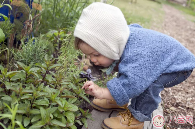 孩子打人后應(yīng)該怎么辦 爸爸媽媽?xiě)?yīng)該怎么看待孩子打人 孩子打人后應(yīng)該怎么辦 爸爸媽媽?xiě)?yīng)該怎么看待孩子打人