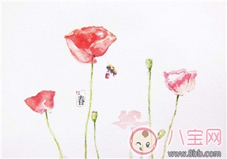 2018年打春是什么時候 2018年立春幾點幾分