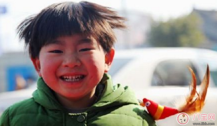 立春小孩為什么要帶打春雞 立春小孩帶的公雞怎么做 立春小孩為什么要帶打春雞 立春小孩帶的公雞怎么做