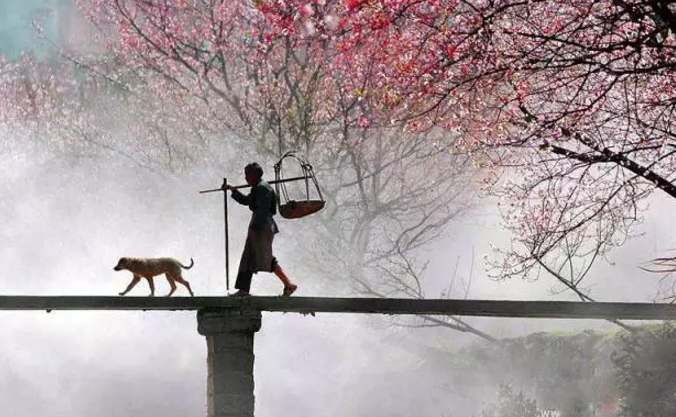 今日雨水說(shuō)說(shuō)朋友圈 2018今日雨水節(jié)氣發(fā)什么句子圖片 今日雨水說(shuō)說(shuō)朋友圈 2018今日雨水節(jié)氣發(fā)什么句子圖片