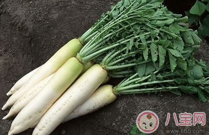 2018立春吃什么 立春為什么吃蘿卜好