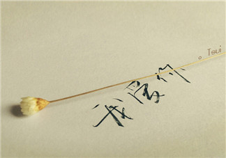 情人節怎樣秀恩愛 情人節秀恩愛的說說朋友圈