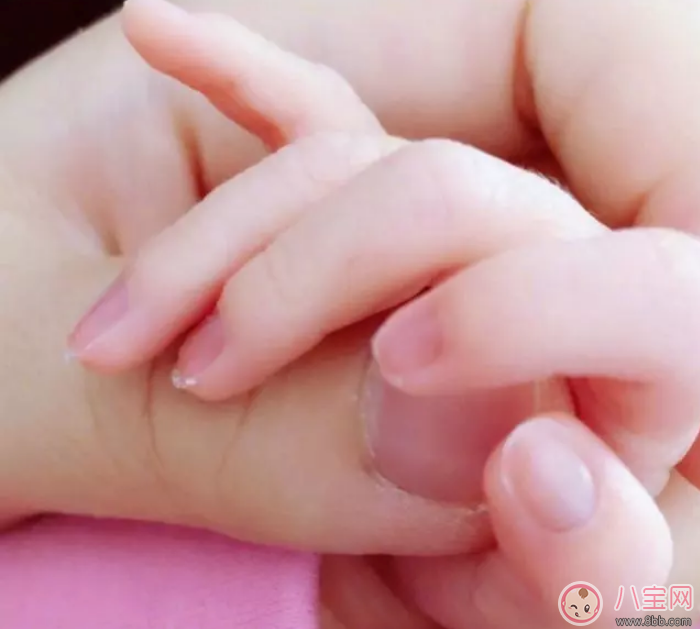 謝娜產后吃什么 為什么剖腹產要排氣才能飲食 謝娜產后吃什么 為什么剖腹產要排氣才能飲食