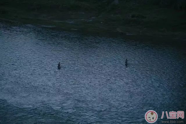 2018春節為什么不想回家 現在為什么一點都不期待過年了