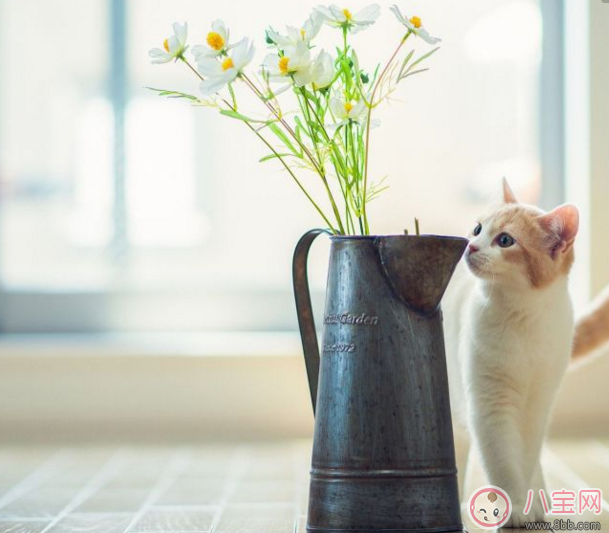 簡單的結婚祝福語2018 祝福新人結婚比較文藝的話