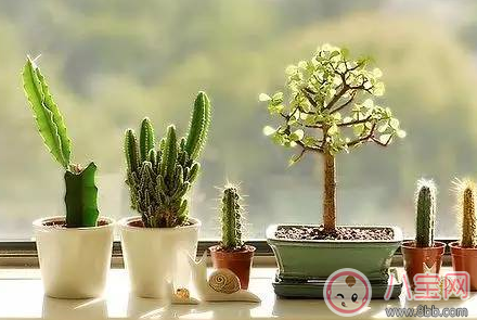 結婚文藝小清新祝福語 文藝簡短的結婚祝福語 