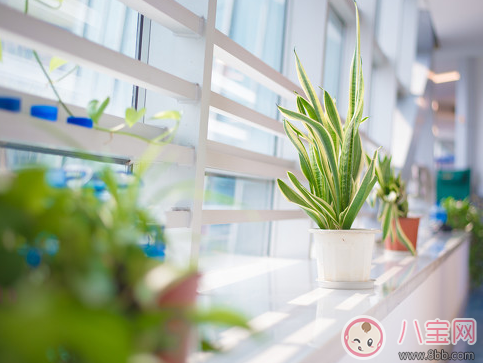 結(jié)婚紀(jì)念日怎樣發(fā)朋友圈 結(jié)婚紀(jì)念日唯美句子