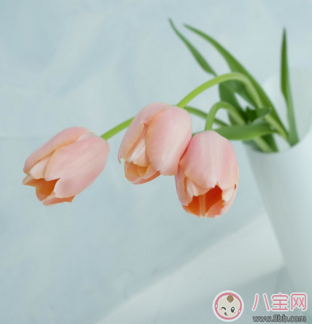 全職媽媽即將上班的心情說說 全職媽媽上班后的心情感受 