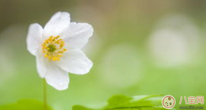 全職媽媽即將上班的心情說說 全職媽媽上班后的心情感受 