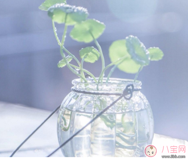 全職媽媽即將上班的心情說說 全職媽媽上班后的心情感受 