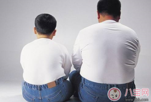 孩子過于肥胖有哪些危害 孩子發胖的原因有哪些