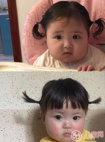 小豬幾是什么意思 小剛幾和小豬幾是什么關系