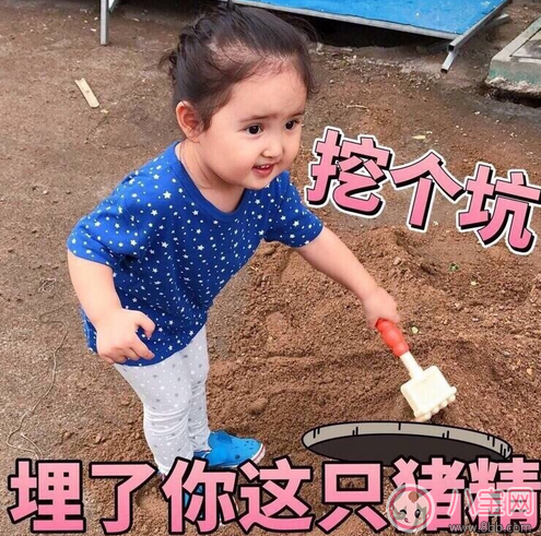 小豬幾是什么意思 小剛幾和小豬幾是什么關系