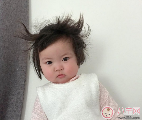 長得像小剛幾的萌娃是誰 肉嘟嘟的小女孩羅熙Rohee 長得像小剛幾的萌娃是誰 肉嘟嘟的小女孩羅熙Rohee