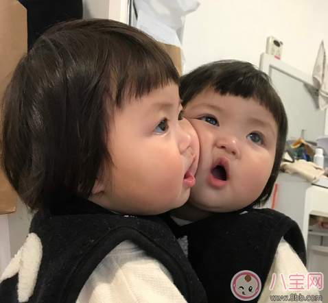 長得像小剛幾的萌娃是誰 肉嘟嘟的小女孩羅熙Rohee 長得像小剛幾的萌娃是誰 肉嘟嘟的小女孩羅熙Rohee