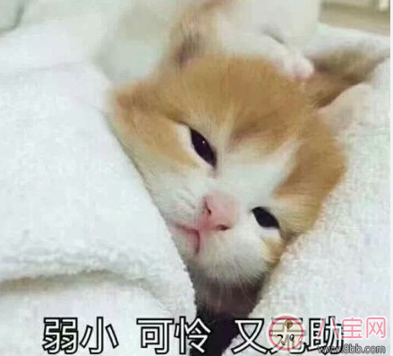 朋友都結婚了的心情感慨 身邊朋友結婚了說說句子