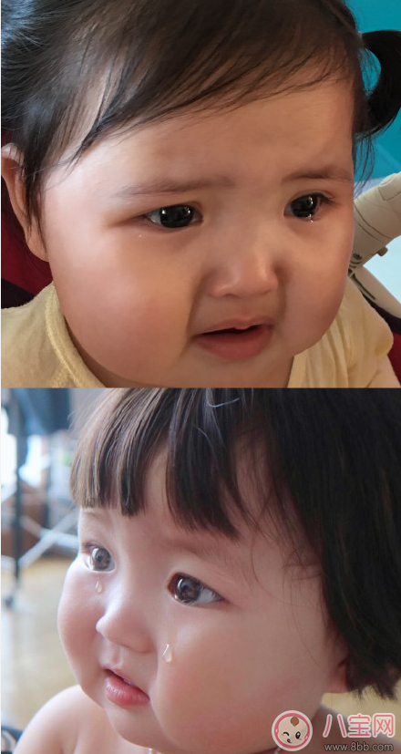 小剛幾和羅熙Rohee 對(duì)比圖片 像小剛幾的萌娃圖片 小剛幾和羅熙Rohee 對(duì)比圖片 像小剛幾的萌娃圖片