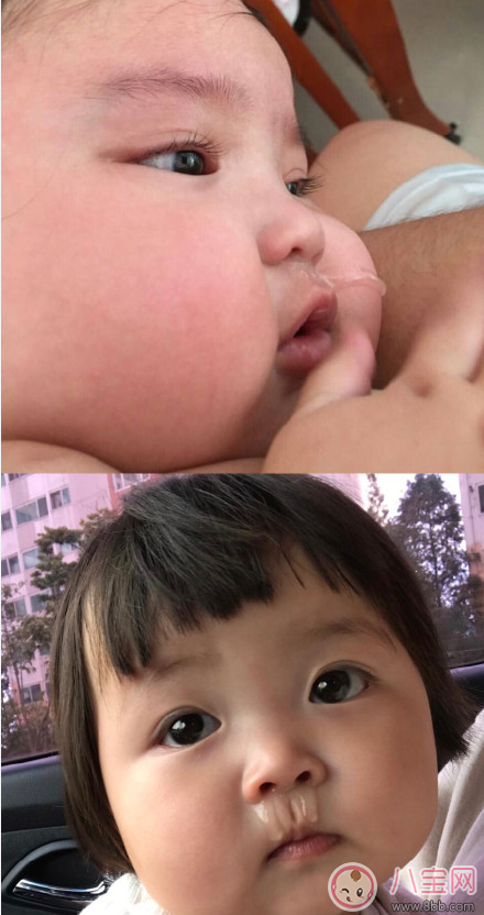 小剛幾和羅熙Rohee 對(duì)比圖片 像小剛幾的萌娃圖片 小剛幾和羅熙Rohee 對(duì)比圖片 像小剛幾的萌娃圖片