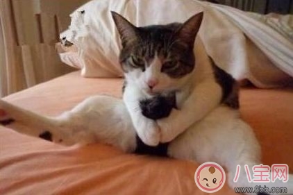 感覺做愛和打飛機(jī)差別太大了怎么辦 感覺打飛機(jī)比做愛還要舒服是不是不正常