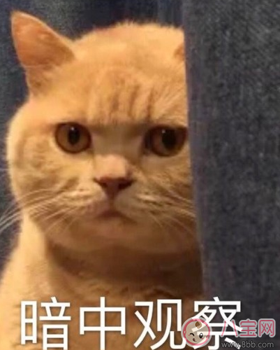 情人節發紅包多少合適 情人節給女朋友發多少紅包好 情人節發紅包多少合適 情人節給女朋友發多少紅包好