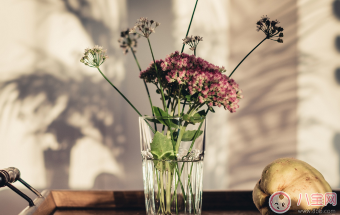 情人節發紅包多少合適 情人節給女朋友發多少紅包好 情人節發紅包多少合適 情人節給女朋友發多少紅包好