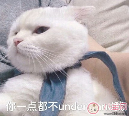 朋友結婚隨多少份子錢好 春節結婚份子錢多少合適