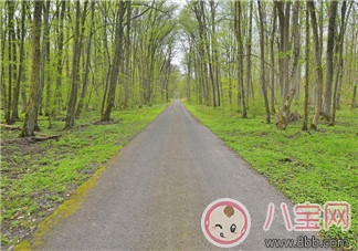 2018年后上班路上的心情說說 踏上返程路上的句子感慨