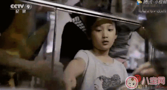 舌尖3石花膏做法 舌尖上的中國3石花膏在家怎么做 舌尖3石花膏做法 舌尖上的中國3石花膏在家怎么做