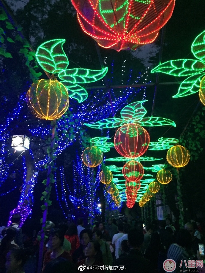 元宵節看花燈圖片 2018元宵節看燈花說說朋友圈