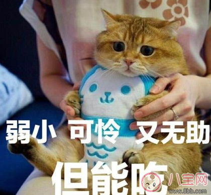 在外地特別想家的說說句子 2018突然想家了的心情說說 