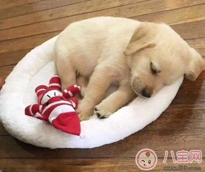 在外地特別想家的說說句子 2018突然想家了的心情說說 